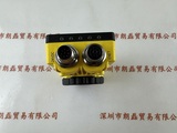 COGNEX康耐视  IS5110-01  825-0209-1R J  821-0034-1R Rev C   工业相机