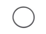 NEWPORT 优铂特 100762008  ISO-MF Centering Ring Replacement O-Rings