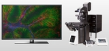 OLYMPUS    奥林巴斯      FV4000      激光扫描共聚焦显微镜