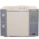 PERSEE  普析   GC1100   气相色谱仪