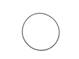 NEWPORT 优铂特 100762020  ISO-MF Centering Ring Replacement O-Rings