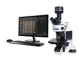 OLYMPUS    奥林巴斯      BX53M      正立金相显微镜